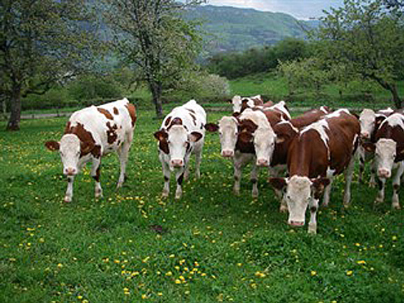 20ème et 21ème siècles site à usage agricole